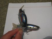 IMG_7127.JPG