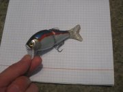 IMG_7128.JPG