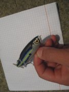 IMG_7134.JPG