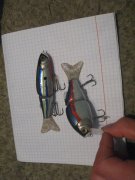 IMG_7137.JPG