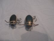 IMG_7138.JPG