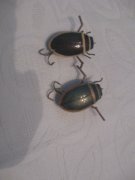 IMG_7145.JPG