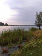 20150816_060631.jpg