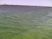 IMG_20150823_114217.jpg
