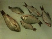 IMG_0552.JPG
