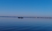 IMAG0605.jpg