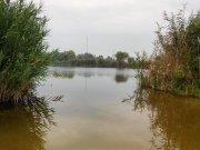 20150827_081404_HDR.jpg