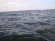 DSC02861.JPG