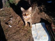 IMG_20150825_175047.jpg