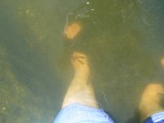 P1620106.JPG