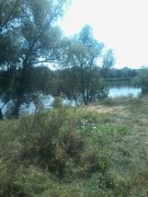 20150828_114003.jpg