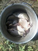 20150828_113950.jpg
