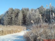 DSC00091.JPG