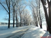 DSC00092.JPG