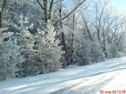 DSC00094.JPG