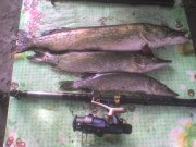DSC01330.JPG