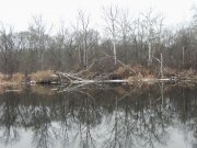 PIC03052.JPG