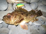 IMG_0436.jpg