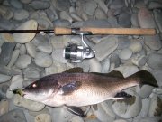 IMG_0684.jpg