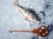 P2010001.JPG