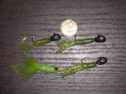 IMG_7081.jpg