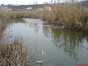 DSC01199.JPG