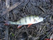 DSC01200.JPG
