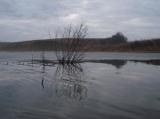 DSC02647.jpg