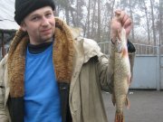 IMG_1386.jpg
