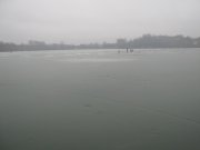IMG_1401.jpg