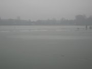 IMG_1402.jpg
