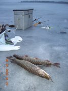 DSCN3725.JPG