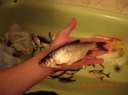 DSCN3728.JPG