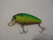Damiki bait ched.jpg
