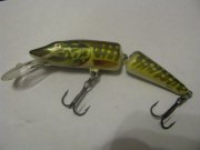 Salmo pike11.jpg
