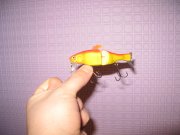 IMG_2551.jpg