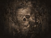 paranoid scull.jpg