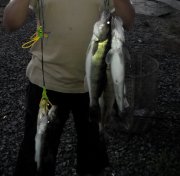 2015831194405_1.jpg