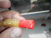 2015901163842.jpg
