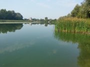 20150901_085404_HDR.jpg