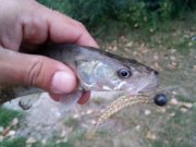 20150901_060707_HDR.jpg