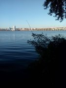 IMG_20150830_073543.jpg