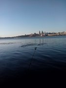 IMG_20150830_073556.jpg