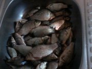 P03-09-15_07.33.jpg
