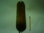 IMG0286A.jpg