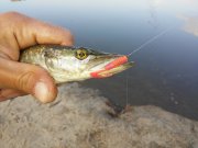20150909_073256.jpg