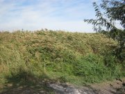 IMG_2791.JPG
