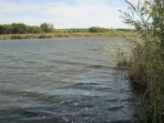 IMG_2793.JPG