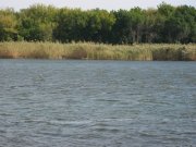IMG_2797.JPG