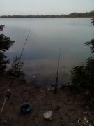 IMG_20150913_064907.jpg